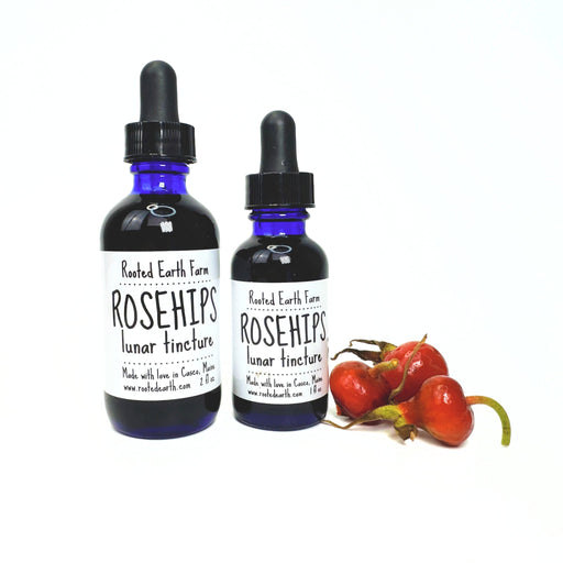 Rooted Earth Farm + Apothecary Rose Hip Tincture Tinctures + Capsules White Smoke 1 oz,2 oz
