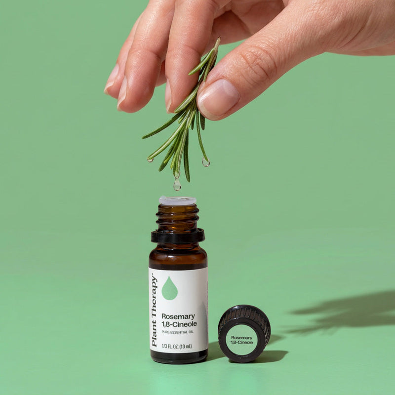 Plant Therapy Rosemary 1,8-Cineole Essential Oil Essential Oil Dark Sea Green 10mL,30 mL,100 mL