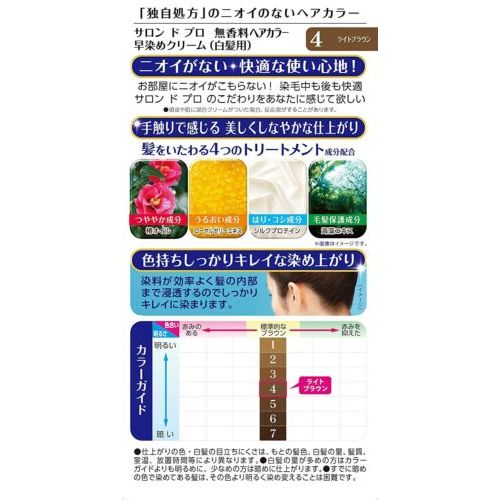 AsiaBeautyMall Dariya Salon De Pro Hair Color Cream Light Brown #4 Hair Color White Smoke