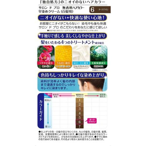 AsiaBeautyMall Dariya Salon De Pro Hair Color Cream Dark Brown #6 Hair Color White Smoke
