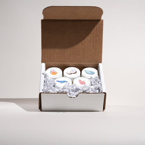 Shore Soap Co. Scent Sample Pack Solid Fragrance Lavender