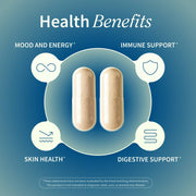 Snap Supplements Irish Sea Moss with Iodine Energy Support Cadet Blue