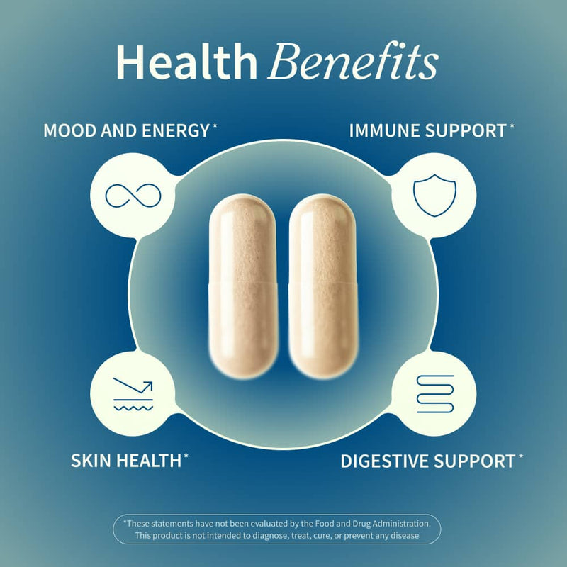 Snap Supplements Irish Sea Moss with Iodine Energy Support Cadet Blue