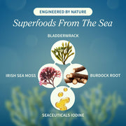 Snap Supplements Irish Sea Moss w/ Iodine Energy Support - Buy 2, Get 1 FREE! hidden Cadet Blue