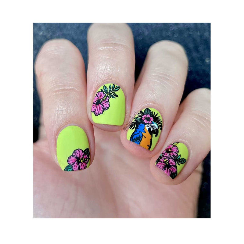 UberChic Beauty Seashells & Sunshine Stamping Plate Gray