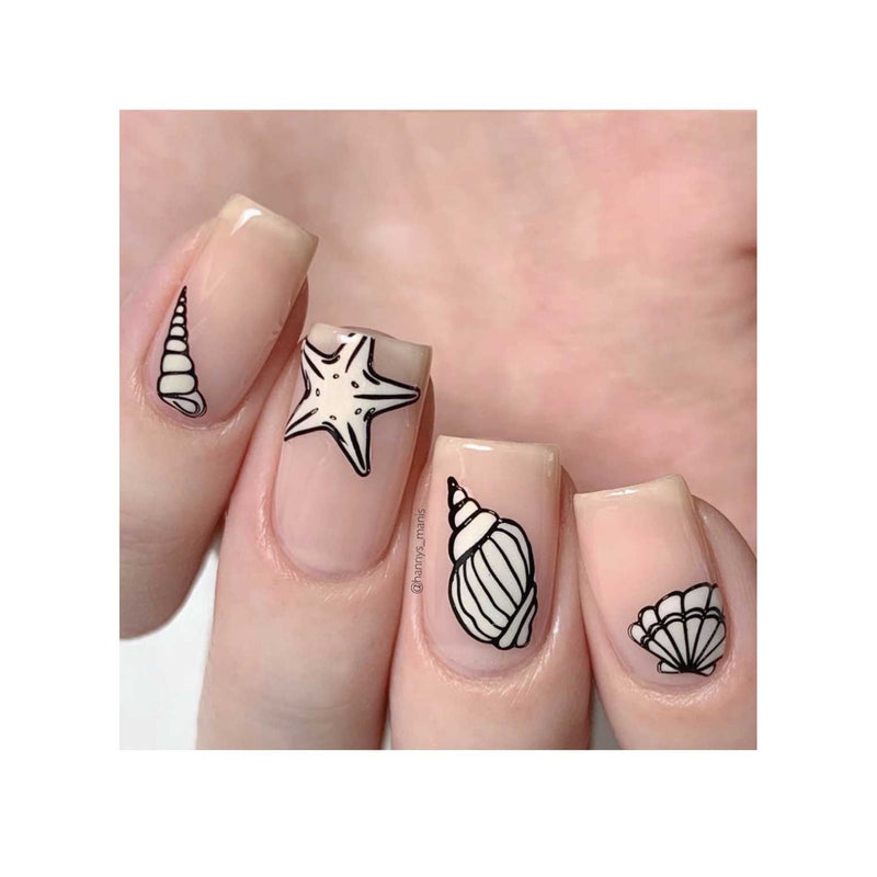 UberChic Beauty Seashells Aplenty Stamping Plate Tan