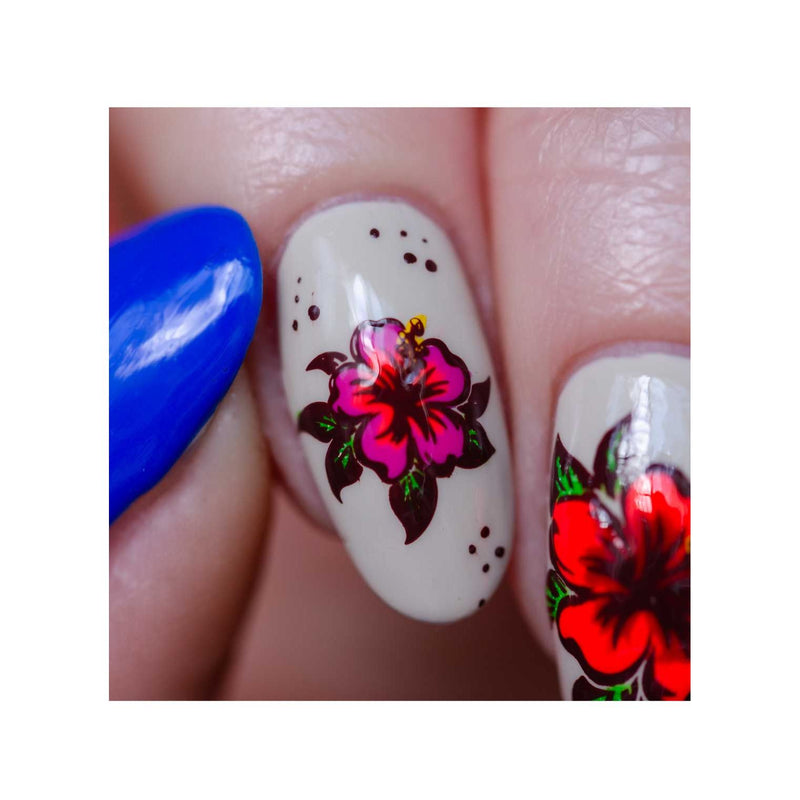 UberChic Beauty Seashells & Sunshine Stamping Plate Dim Gray