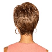VIP Extensions Serving Style by Gabor Wig Black GL1-2-Double Espresso,GL2-6 Black Coffee,GL4-8 Dark Chocolate,GL6-30 Mahogany,GL8-10 Dark Chestnut,GL8-29 Hazelnut,GL10-12 Sunlit Chestnut,GL10-14 Walnut,GL11-25 Honey Pecan,GL12-14 Mocha,GL12-16 Golden Walnut,GL14-16 Honey Toast,GL14-22 Sandy Blonde,GL15