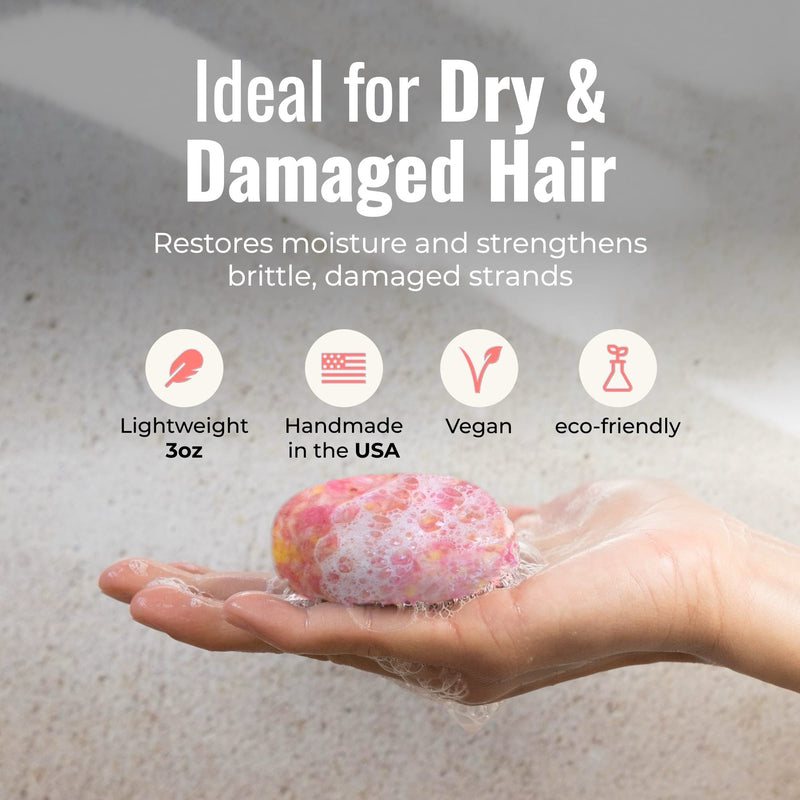 ZeroWasteStore.com Shampoo & Conditioner Bar Duo Shampoo & Conditioner Sets Dark Gray Bloom with Castor Oil,Sunshine,Driftwood,Oasis,Maui Melon,Sunkissed,Blossom,Cobalt,Peppermint Breeze,Simply Unscented,Earth,Seasonal Harvest