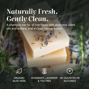 Chagrin Valley Soap & Salve Shampoo Bar: Rosemary Lavender Shampoo Bar Dark Slate Gray Full Bar 5.6 oz,Travel Size Bar 1.7 oz