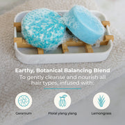 ZeroWasteStore.com Shampoo & Conditioner Bar Duo Shampoo & Conditioner Sets Dark Gray Bloom with Castor Oil,Sunshine,Driftwood,Oasis,Maui Melon,Sunkissed,Blossom,Cobalt,Peppermint Breeze,Simply Unscented,Earth,Seasonal Harvest