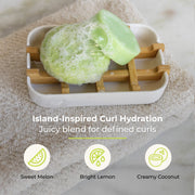 ZeroWasteStore.com Shampoo & Conditioner Bar Duo Shampoo & Conditioner Sets Dark Gray Bloom with Castor Oil,Sunshine,Driftwood,Oasis,Maui Melon,Sunkissed,Blossom,Cobalt,Peppermint Breeze,Simply Unscented,Earth,Seasonal Harvest