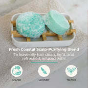 ZeroWasteStore.com Shampoo & Conditioner Bar Duo Shampoo & Conditioner Sets Dark Gray Bloom with Castor Oil,Sunshine,Blossom,Cobalt,Driftwood,Earth,Maui Melon,Oasis,Peppermint Breeze,Seaside,Sunkissed,Simply Unscented