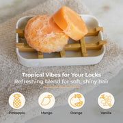 ZeroWasteStore.com Shampoo & Conditioner Bar Duo Shampoo & Conditioner Sets Dark Gray Bloom with Castor Oil,Sunshine,Driftwood,Oasis,Maui Melon,Sunkissed,Blossom,Cobalt,Peppermint Breeze,Simply Unscented,Earth,Seasonal Harvest