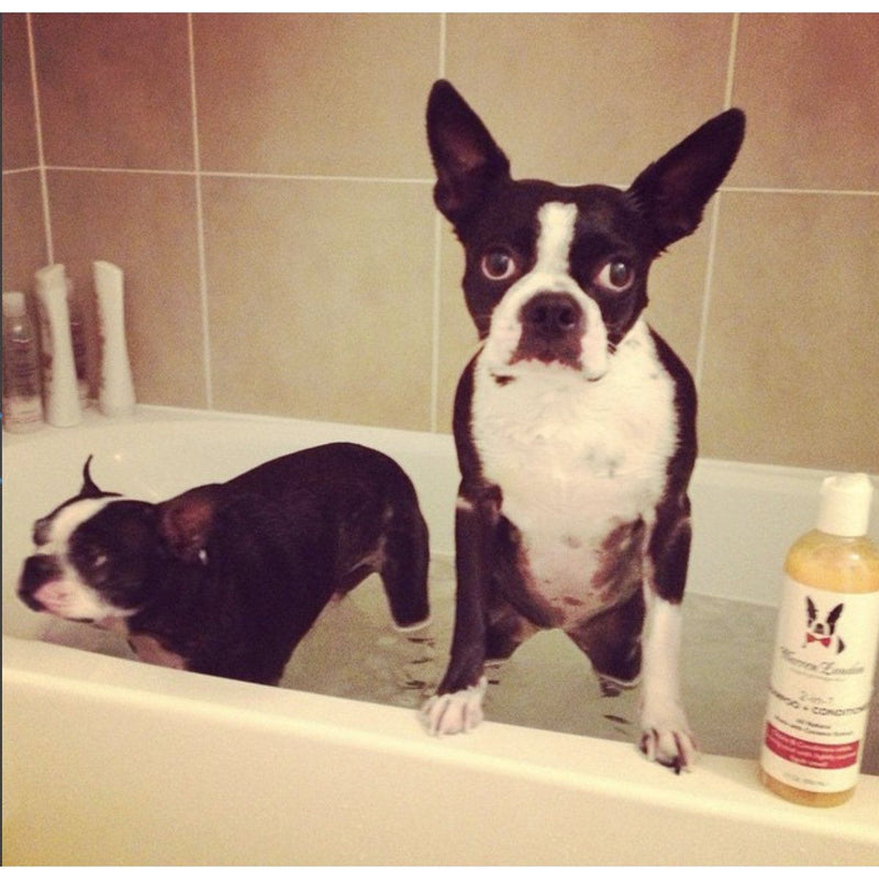 Warren London 2-in-1 Dog Shampoo & Conditioner – Coconut, 17 oz Dog Shampoo Rosy Brown
