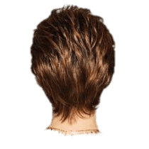 VIP Extensions Shape Up by Gabor Wig Black GL1-2-Double Espresso,GL2-6 Black Coffee,GL4-8 Dark Chocolate,GL6-30 Mahogany,GL8-10 Dark Chestnut,GL8-29 Hazelnut,GL10-12 Sunlit Chestnut,GL10-14 Walnut,GL11-25 Honey Pecan,GL12-14 Mocha,GL12-16 Golden Walnut,GL14-16 Honey Toast,GL14-22 Sandy Blonde,GL15