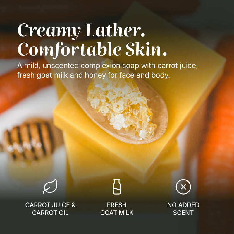 Chagrin Valley Soap & Salve Natural Soap: Carrot & Honey Complexion Soap Black Full Bar 5.6 oz,Travel Size Bar 1.7 oz