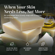 Chagrin Valley Soap & Salve Natural Soap: Castile & Cocoa Soap Dark Slate Gray Full Bar 5.6 oz,Travel Size Bar 1.7 oz