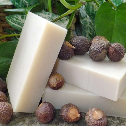 Chagrin Valley Soap & Salve Shampoo Bar: Soapnuts Shampoo Shampoo Bar Gray Travel Size Bar 1.7 oz