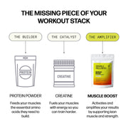Sparkle Wellness Muscle Boost Dietary Supplement White Smoke Mixed Berry,No Flavor,Orange