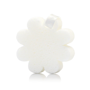 Spongellé Coconut Verbena | Boxed Flower Body Wash Infused Buffer Lavender