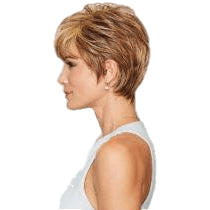 VIP Extensions Strength by Gabor Wig Black Black,Dark Brown,Medium Brown,Light Brown,Brown/Blonde,Dark Blonde,Medium Blonde,Light Blonde,Light Red,Medium Red,Brown Grey,Light Grey