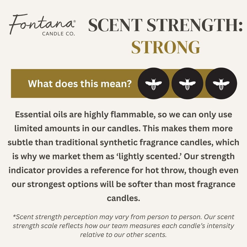 Fontana Candle Co Cinnamon Orange Clove Wax Melts Wax Melts Seashell