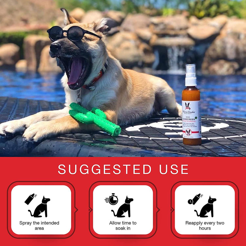 Warren London Dog Sunscreen With Aloe Vera Moisturizer Spa Product White Smoke