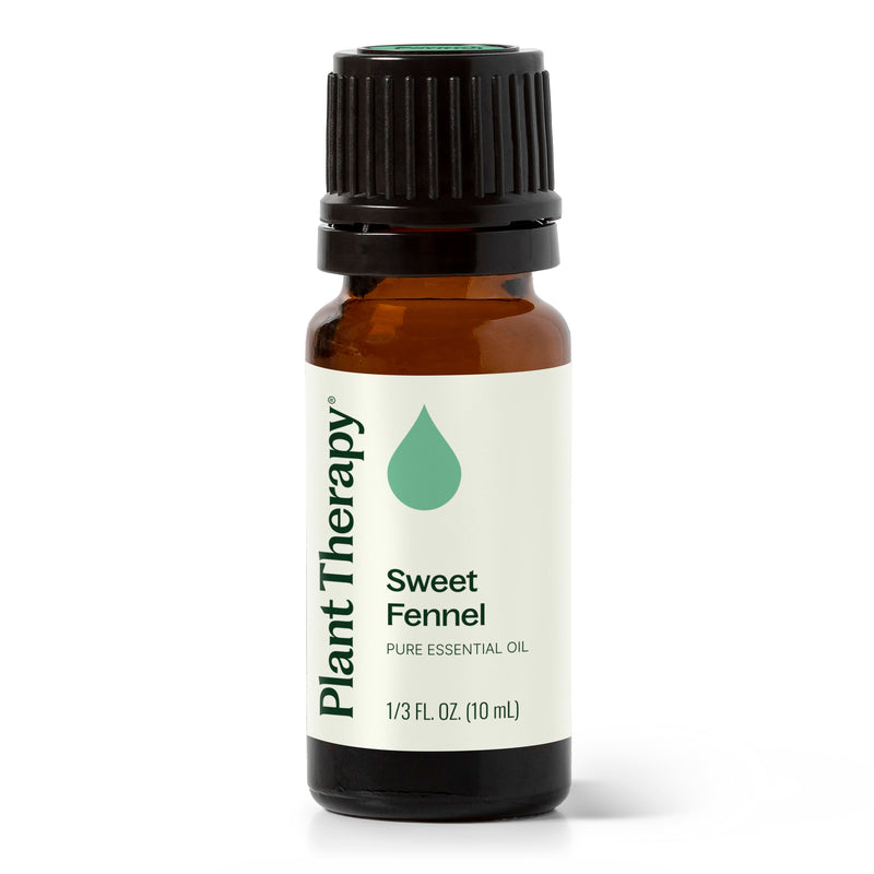 Plant Therapy Sweet Fennel Essential Oil Essential Oil White Smoke 10 mL