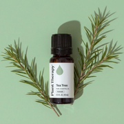 Plant Therapy Tea Tree Essential Oil Essential Oil Dark Gray 10 mL,30 mL,100 mL