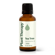 Plant Therapy Tea Tree Essential Oil Essential Oil Beige 10 mL,30 mL,100 mL