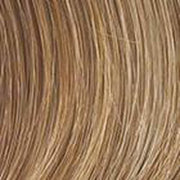 VIP Extensions Christie Brinkley The Pony Hair Extension Dim Gray HT14/25 DRK GOLDEN BLONDE