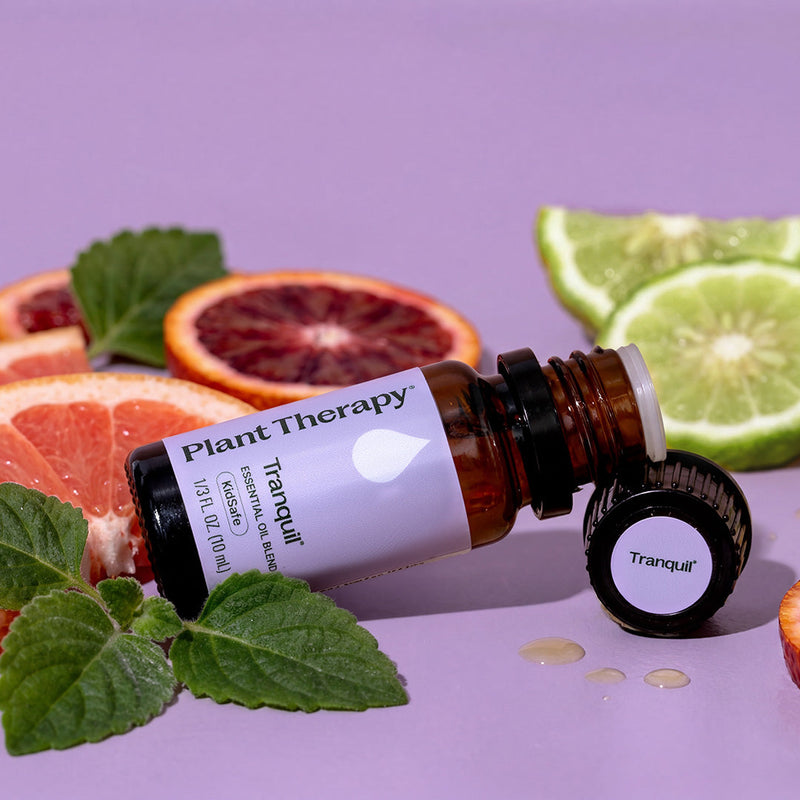 Plant Therapy Tranquil Essential Oil Blend Essential Oil Dark Gray 10 mL,30 mL,100 mL