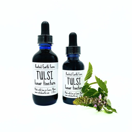 Rooted Earth Farm + Apothecary Tulsi (Holy Basil) Tincture Tinctures + Capsules White Smoke 1 oz,2 oz