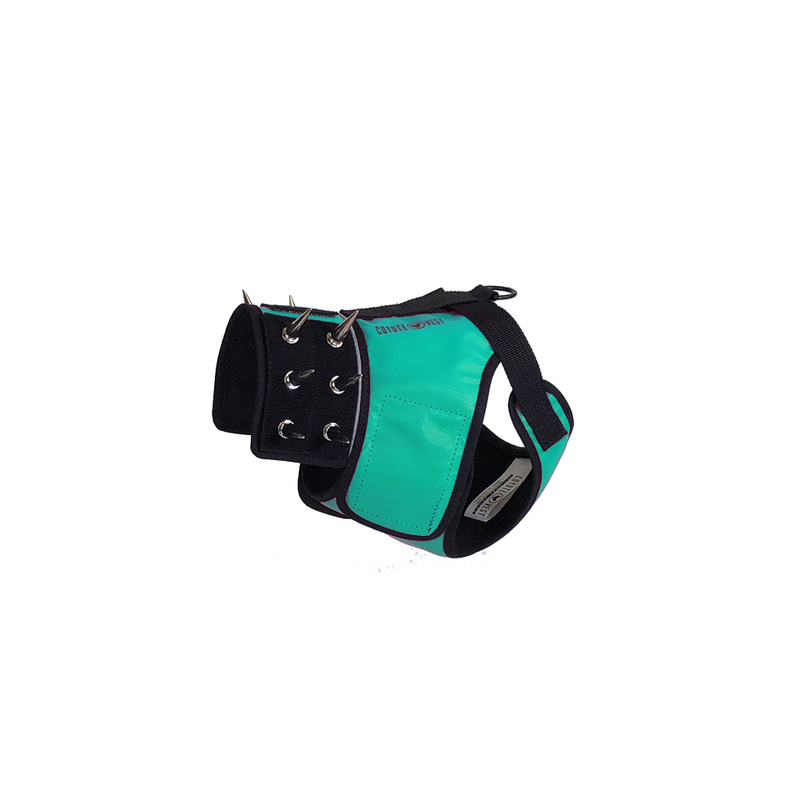 CoyoteVest SpikeHarness Vest White Smoke Small / Turquoise