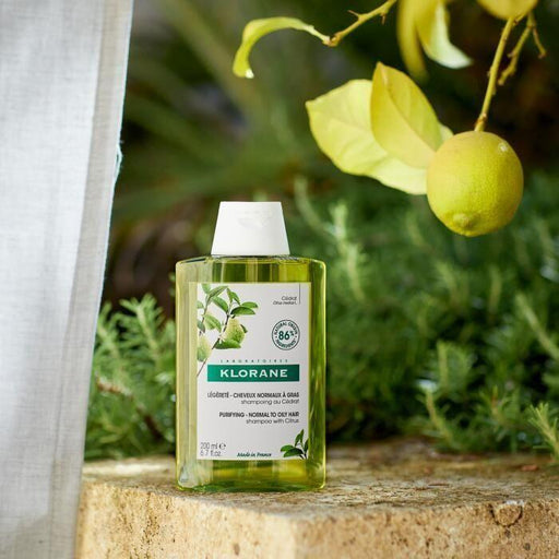 Klorane Klorane Purifying - Normal To Oily Hair Shampoo with Citrus 13.5oz Shampoo Dark Olive Green