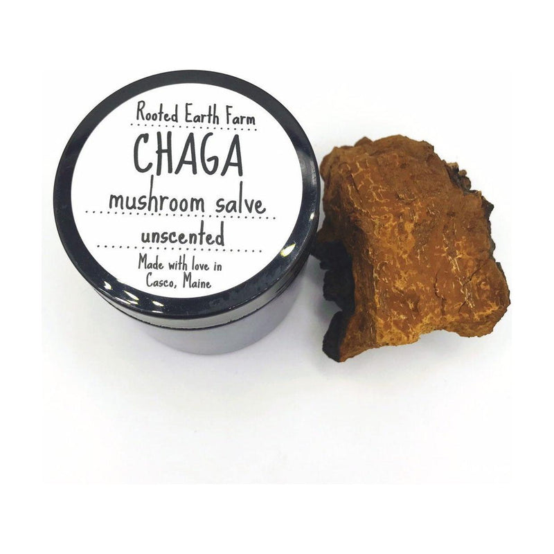 Rooted Earth Farm + Apothecary Chaga Salve Herbal Salves + Balms Lavender Unscented,Lavender
