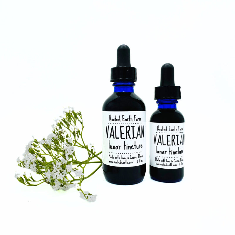 Rooted Earth Farm + Apothecary Valerian Tincture Tinctures + Capsules White Smoke 1 oz,2 oz