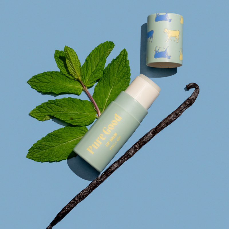 Pure Good LLC Tallow Lip Balm Lip Balm Dark Gray Citrus,Coconut Dream,Just Peachy,Vanilla Mint