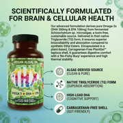 Hippie Farms Vegan Omega 3 Supplement with DHA & EPA - Next Gen Omega 3 Supplement Vitamins & Supplements Light Gray