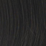VIP Extensions VIP Collection Synthetic Wig, Lilac Style Wig Dark Slate Gray R10 Chestnut -,R130 Dark Copper,R14/25 Honey Ginger,R14/88H Golden Wheat,R1416T Buttered Toast,R2 Ebony - Black,R21T Sandy Blonde -,R22 Swedish Blonde,R25 Ginger Blonde,R29S Glazed Strawberry,R33 Dark Auburn,R4 Midnight Brown -,R6 Dark Chocolate,R6/30H Ch