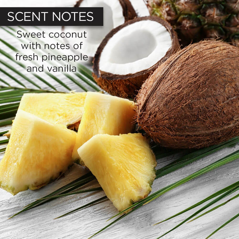 whish beauty Coconut Body Butter Body Care > Body Moisturizers > Body Butters Light Gray