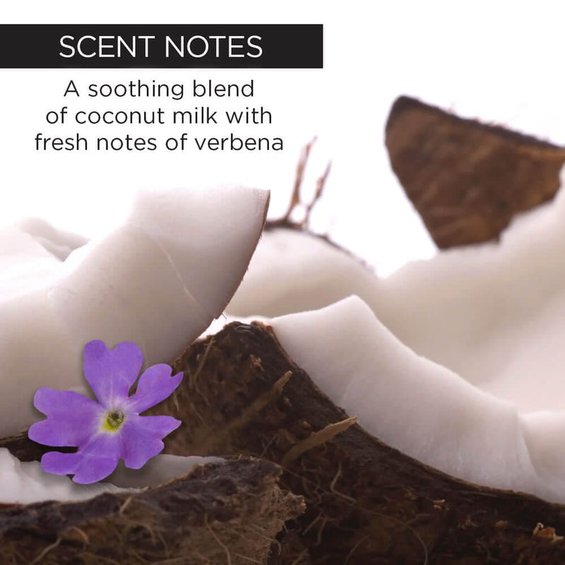 whish beauty Coconut Milk + Verbena Exfoliating Foot Mask Body Care > Exfoliators > Foot Mask White Smoke