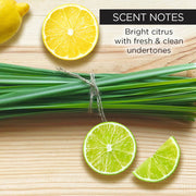 whish beauty Lemongrass Sugar Scrub Body Care > Exfoliators > Sugar Scrub Dark Slate Gray