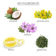 whish beauty Coconut Milk + Verbena Hand Remedy Body Care > Hand and Foot Treatment Dark Olive Green