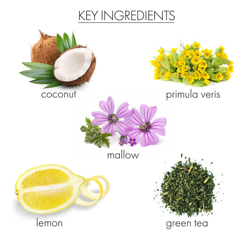 whish beauty Coconut Milk + Verbena Hand Remedy Body Care > Hand and Foot Treatment Dark Olive Green