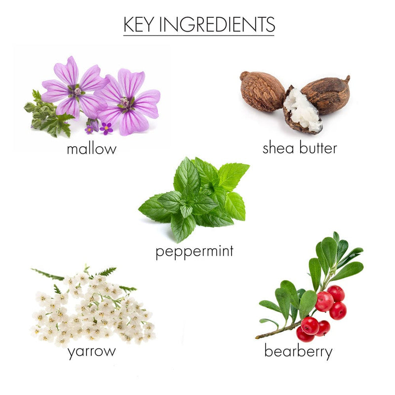 whish beauty Coconut Milk+Verbena CC Body Cream Body Care > Self Tan & Glow Light Gray