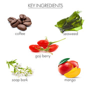 whish beauty Coconut Milk+Verbena - Coconut Self Tanner Lotion Body Care > Self Tan & Glow > Self Tanner Dark Olive Green