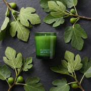 Element Brooklyn Wicked Ficus Candle Candles Dark Slate Gray