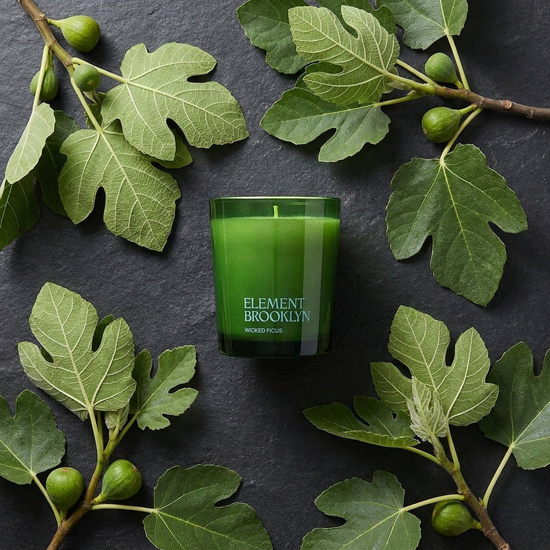 Element Brooklyn Wicked Ficus Candle Candles Dark Slate Gray